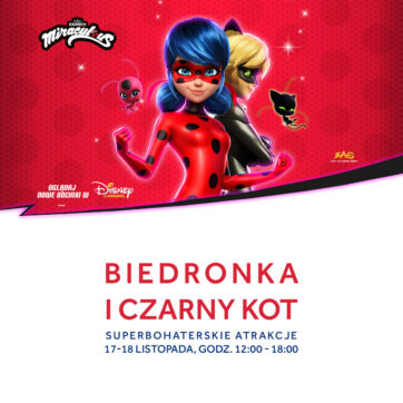 Biedronka i Czarny Kot w Atrium Kasztanowa